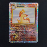 Rapidash 50/110