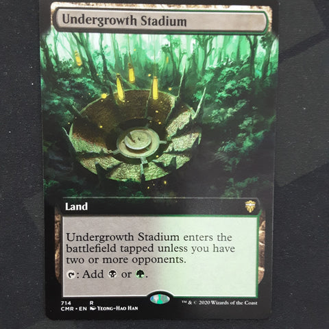 Undergrowth Stadium (Borderless)